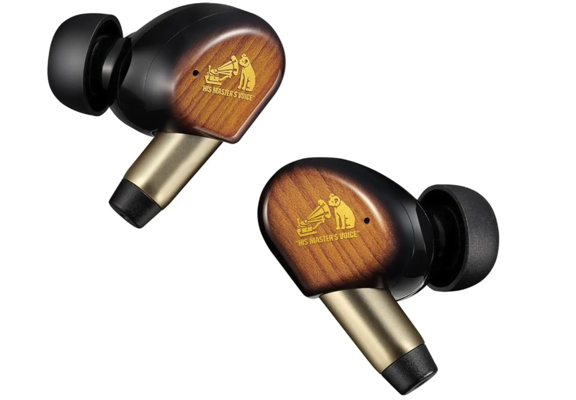 Victor WOOD master HA-FW5000T