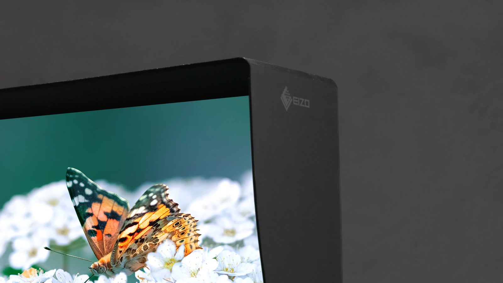 EIZO ColorEdge CS3200Xに標準付属の遮光フードを装着した状態のクローズアップ
